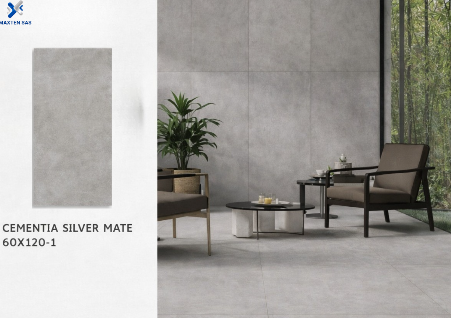 CEMENTIA SILVER MATE